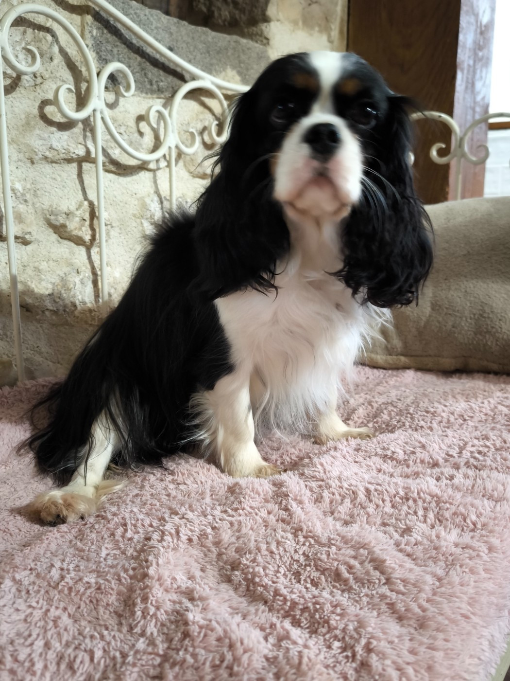 Umami De La Vallée Du Montois