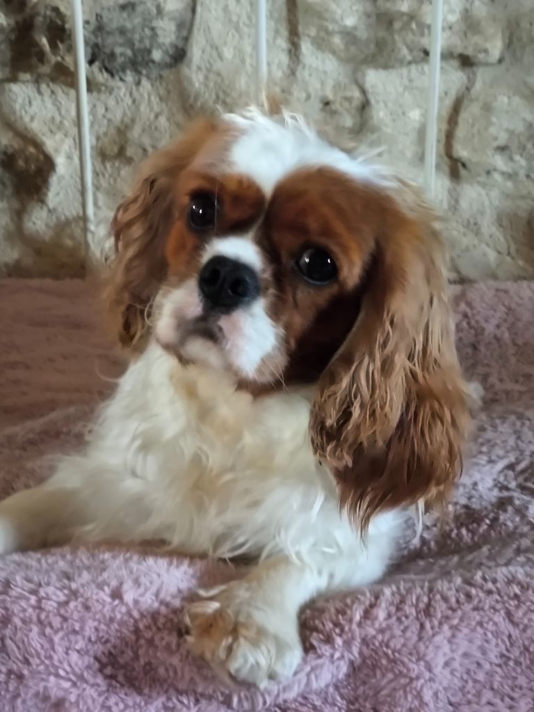 Versailles des lutins malins